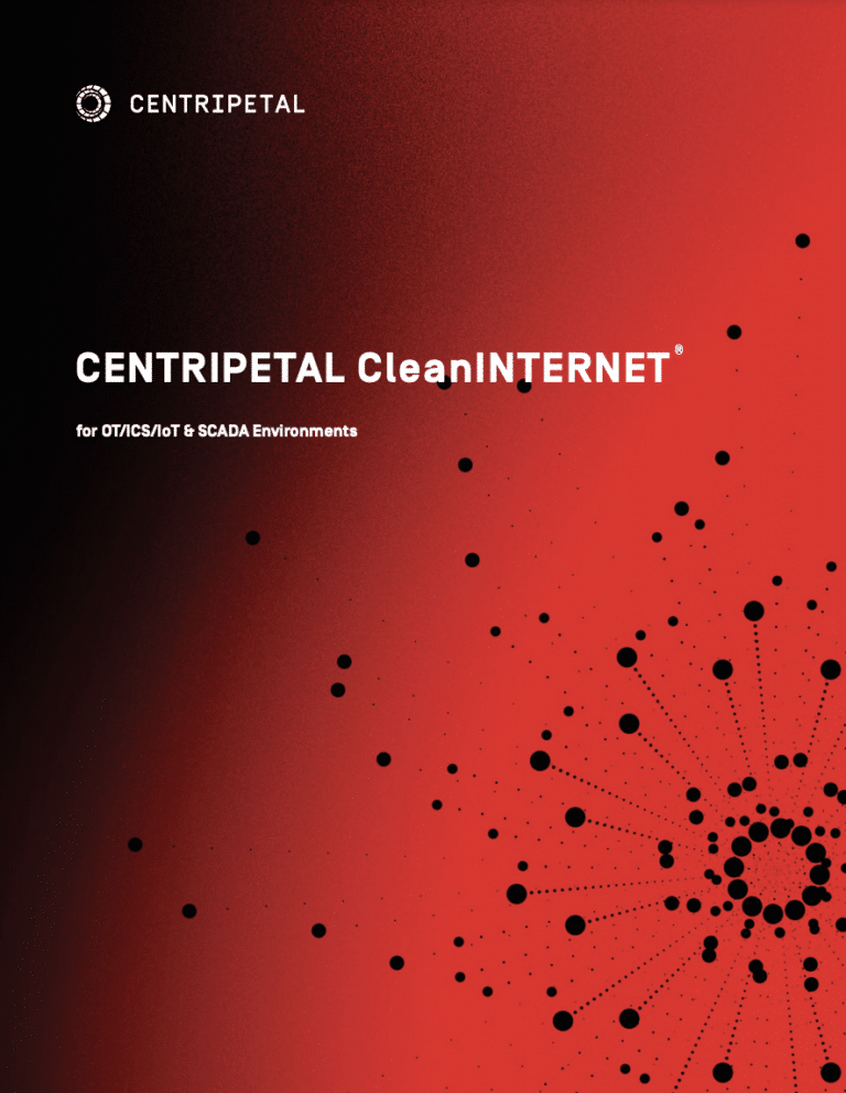 centripetal, cleanINTERNET